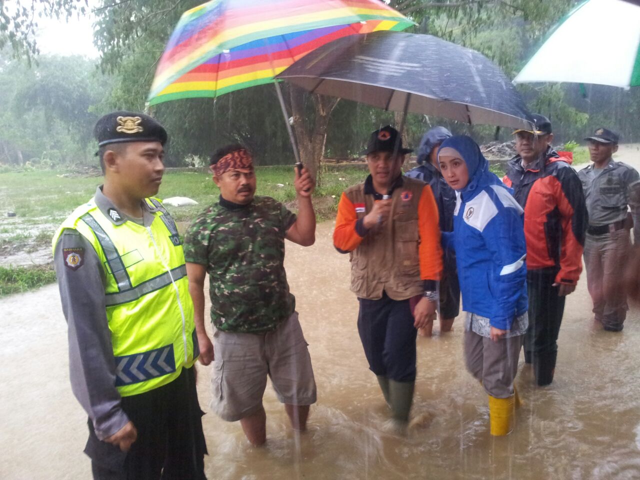 desy-meninjau-banjir