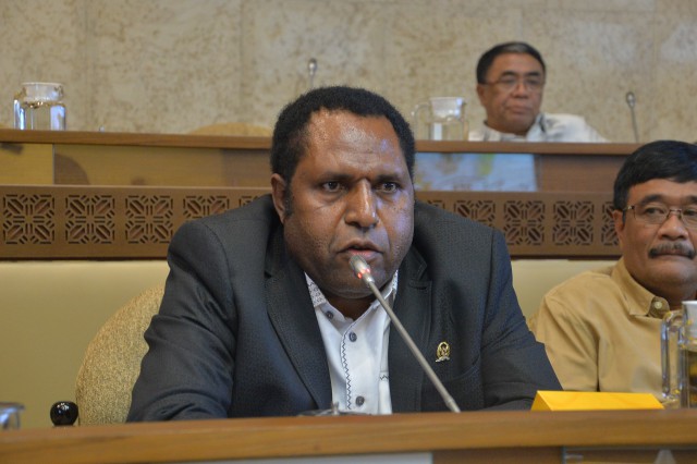  Pemekaran Wilayah Papua, Legislator Usul Amandemen UU Otsus