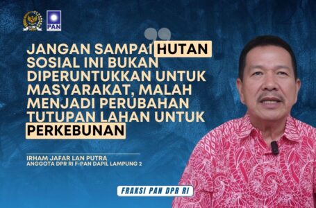 Irham Jafar: Pemanfaatan Hutan Sosial Harus Tepat Sasaran, Jangan Sampai Jadi Perkebunan Sawit