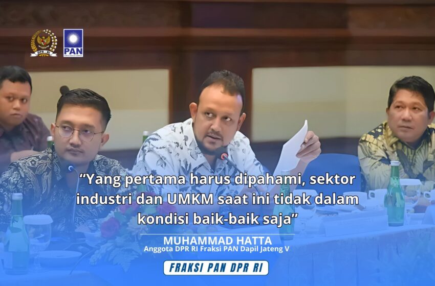  Muhammad Hatta: Kenaikan PPN 12 Persen Picu Efek Domino di Sektor UMKM dan Industri