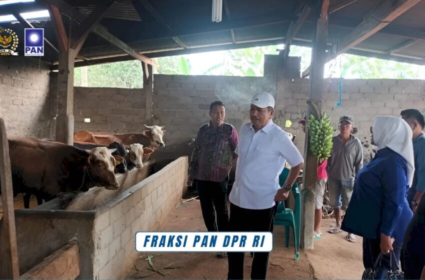  Irham Jafar Tinjau Program UPPO di Lampung Timur, Dorong Keberlanjutan Bantuan untuk Petani