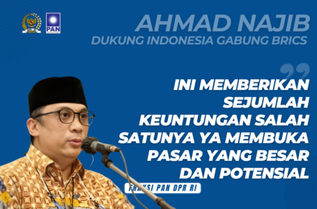 Ahmad Najib Qodratullah Sekretaris Fraksi PAN DPR RI