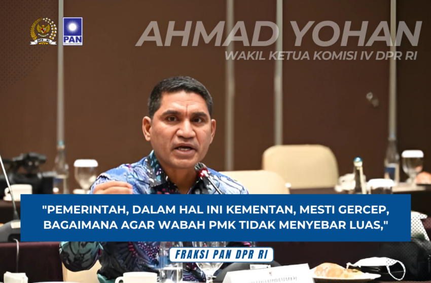  Ahmad Yohan Minta Pemerintah Bergerak Cepat Tangani Wabah PMK Sapi