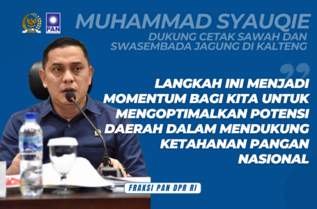 Muhammad Syauqie Anggota Komisi V DPR RI