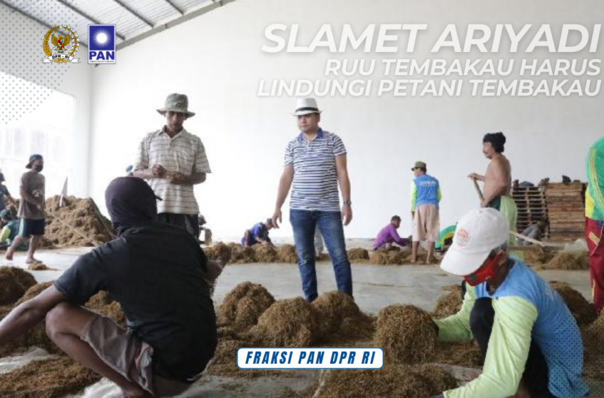  Slamet Ariyadi : RUU Tembakau Harus Lindungi Petani Tembakau