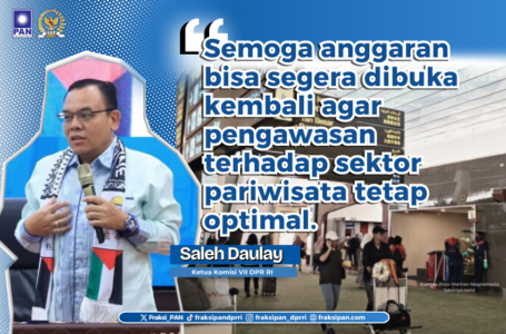 Saleh Partaonan Daulay Ketua Komisi VII DPR RI