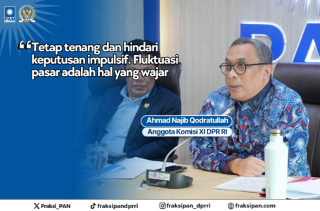 Ahmad Najib Qodratullah Anggota Komisi XI DPR RI