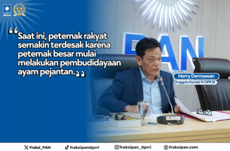 Peternak Ayam Pejantan Terancam, Herry Dermawan Desak Adakan Rapat Khusus