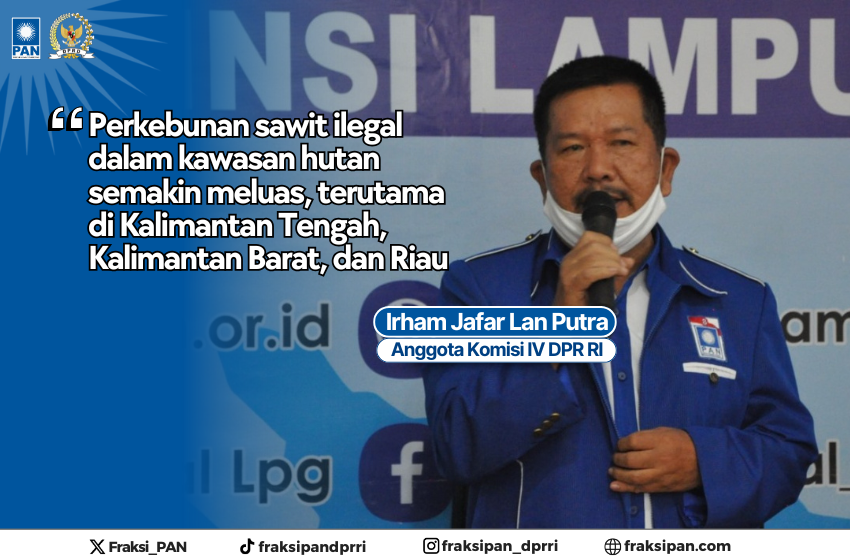  Irham Jafar Soroti Perkebunan Ilegal dalam Kawasan Hutan: Picu Deforestasi dan Konflik Tenurial