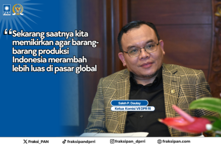 Saleh Partaonan Daulay Ketua Komsi VII DPR RI